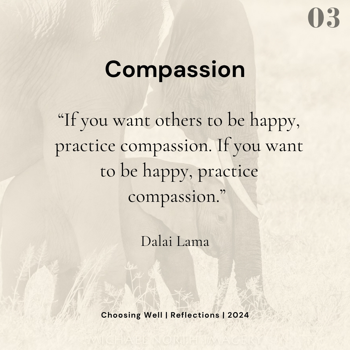 Choose Compassion reflection card